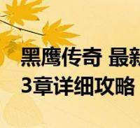 2025年粤港澳大湾区（阳山）“香雪制药杯”第二届匹克球公开赛开赛